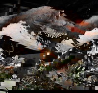 Branson Dinosaur Museum Admission Ticket - Accommodation Dallas