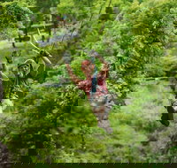 Zipline Canopy Tour in Branson - Accommodation Dallas