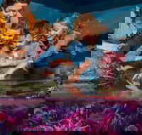 SEA LIFE New Jersey at American Dream - Accommodation Dallas