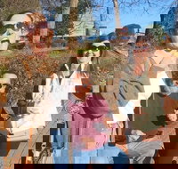 Scavenger Hunt Adventure in Charlotte by Zombie Scavengers - Accommodation Dallas