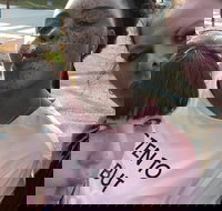 Scavenger Hunt Adventure in Pittsburgh by Crazy Dash - Accommodation Dallas