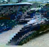 Premier Powersport Dealer Sales Service  UTV Rentals - Accommodation Dallas