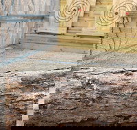 Axe Throwing Training - Accommodation Dallas