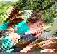 Full Day Float Trip - Accommodation Dallas