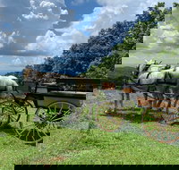 Horse and Carriage Ride through Moses H. Cone Park - Accommodation Dallas