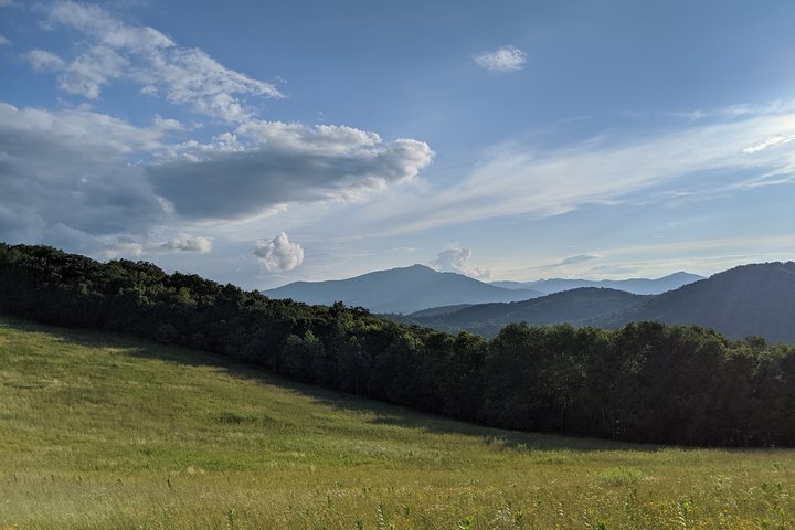 Horse And Carriage Ride Through Moses H. Cone Park - thumb 3