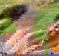 Private Picnic Experience in the Queen City - Accommodation Dallas