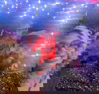 Private Pedicab Karaoke Cruising in Downtown Raleigh - Accommodation Dallas