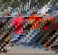 Lake Erie Walleye Fishing Charters - Accommodation Dallas