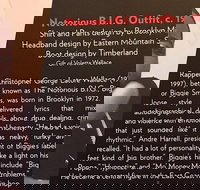 Rock and Roll Hall of Fame Admission in Cleveland - Accommodation Dallas