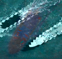 Private Hilton Head Sunset Boat Cruise Up to 14 Passengers - Accommodation Dallas