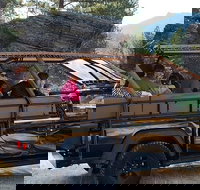 Jeep Bison Safari - Custer State Park - Accommodation Dallas