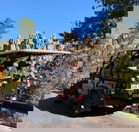 Private - Group Jeep Bison Safari - Sunshine  Fresh Air - Accommodation Dallas