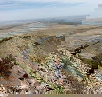 Private - Group Tour Devils Tower - Accommodation Dallas