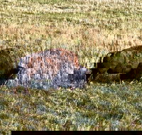 Private Tour - Badlands Delta 9 Missile Museum  Wall Drug - Accommodation Dallas