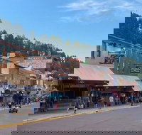 Private VIP Mt. Rushmore Deadwood and Devils Tower Day Tour - Accommodation Dallas