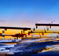 90 Minute Hilton Head Dolphin Tour - Accommodation Dallas