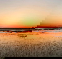 Private Hilton Head Sunset Dolphin Tour - Accommodation Dallas