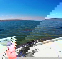 Private Hilton Head Dolphin Watching Tour with Waterfront Dining Stops - Accommodation Dallas