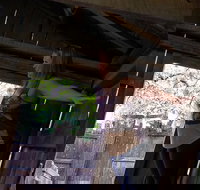 Cosmos Mystery Area Admission - Accommodation Dallas