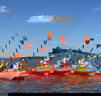 2-Hour Guided Kayak Nature Tour of Hilton Head - Accommodation Dallas