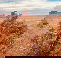 Monument Valley Backcountry Tour - Accommodation Dallas