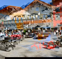 Small-Group Family-Friendly Private Cycling Sightseeing Tour - Accommodation Dallas