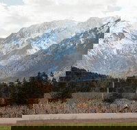 Mountain View E-Bike Experience - Accommodation Dallas