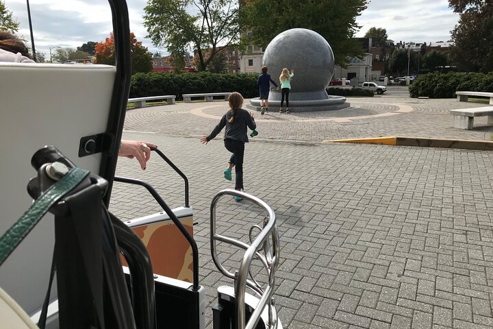 RVATukTuk Sightseeing Tour Of Richmond - thumb 3