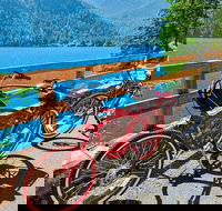 Electric Bike Rentals - Accommodation Dallas