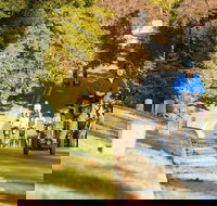 Hollywood Cemetery Segway Tour in Richmond - Accommodation Dallas