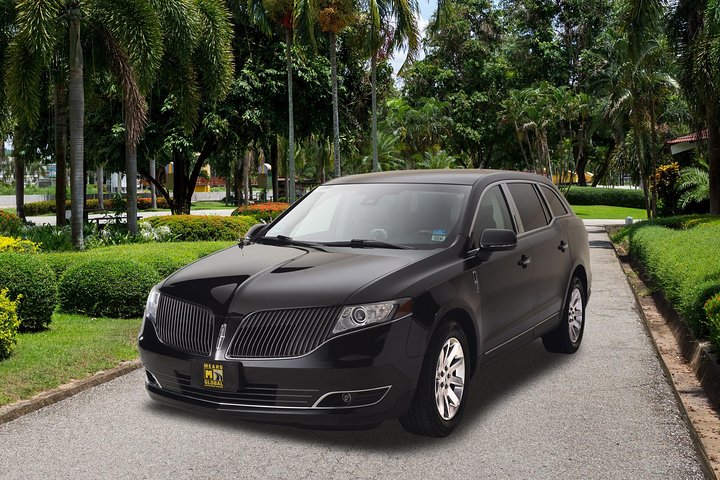 Private Dallas Transfer: Hotel To Dallas Airport DAL - thumb 2