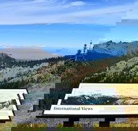 Hurricane Ridge Guided Tour in Olympic National Park - Accommodation Dallas