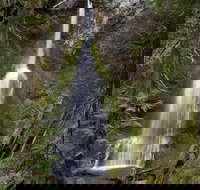 Lake Crescent and Marymere Falls Guided Tour in Olympic National Park - Accommodation Dallas