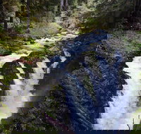 Sol Duc Falls Guided Tour in Olympic National Park - Accommodation Dallas