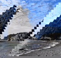 Hoh Rain Forest and Rialto Beach Guided Tour in Olympic National Park - Accommodation Dallas