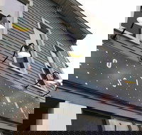 Milwaukee Bar Hunt Milwaukee Bar Crawl - Accommodation Dallas