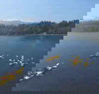 Half-Day Sea Kayaking Trip Near Olympic National Park - Accommodation Dallas