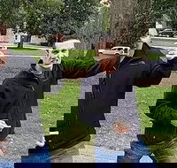 Fun City Scavenger Hunt in Madison by Wacky Walks - Accommodation Dallas