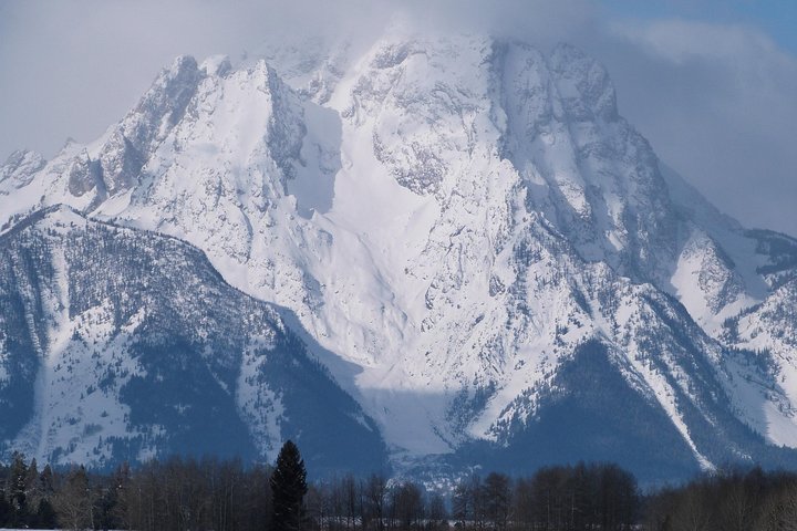 Grand Teton Winter Wildlife Tour - thumb 1