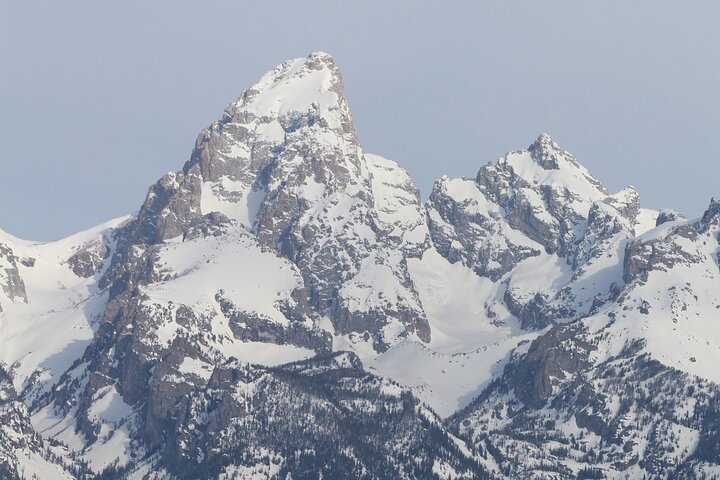 Grand Teton Winter Wildlife Tour - thumb 5