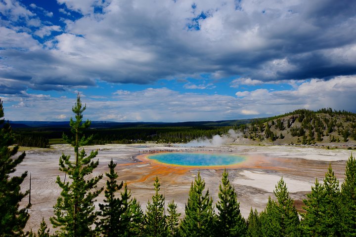 Private Yellowstone Tour: Iconic Sites, Wildlife, Easy Hiking, & Lunch Included - thumb 3