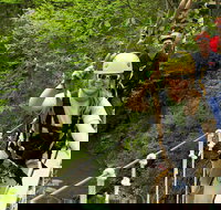 New River Gorge Zip Line Canopy Tour - Accommodation Dallas