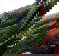 New River Gorge Zip Lining - Accommodation Dallas