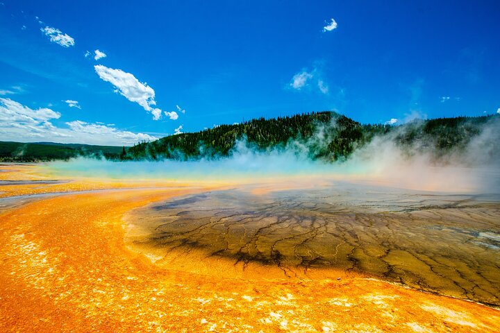 4 Person Full-Day PRIVATE Yellowstone Tour In A Raised Roof Van- Picnic Lunch - thumb 3