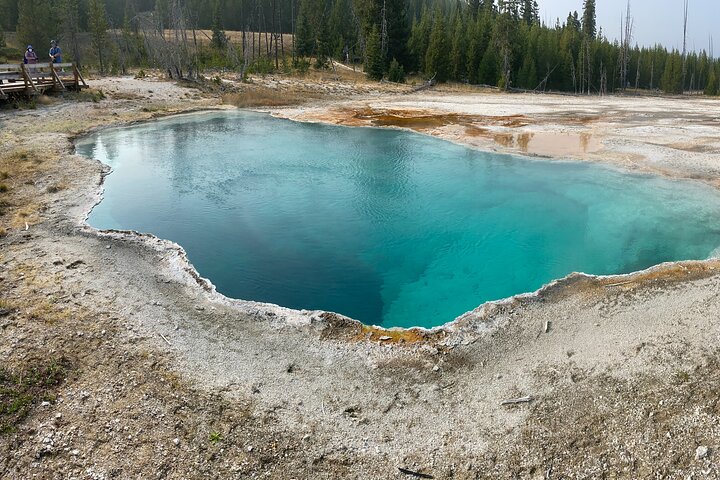 4 Person Full-Day PRIVATE Yellowstone Tour In A Raised Roof Van- Picnic Lunch - thumb 4