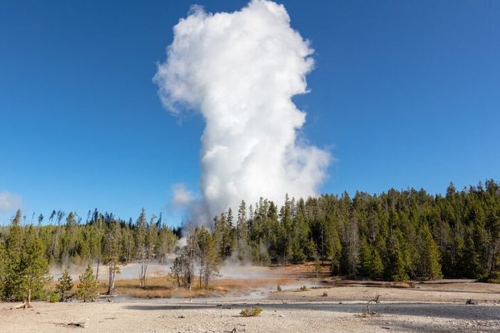Full-Day Private Safari Of Yellowstone - thumb 0
