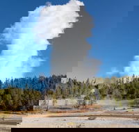 Full-Day Private Safari of Yellowstone - Accommodation Dallas