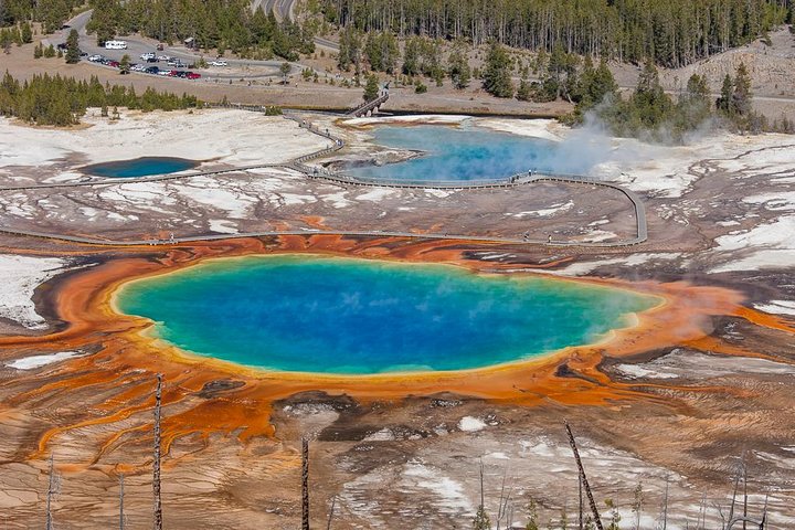 Yellowstone Lower Loop Guided Tour From Cody, Wyoming - thumb 3
