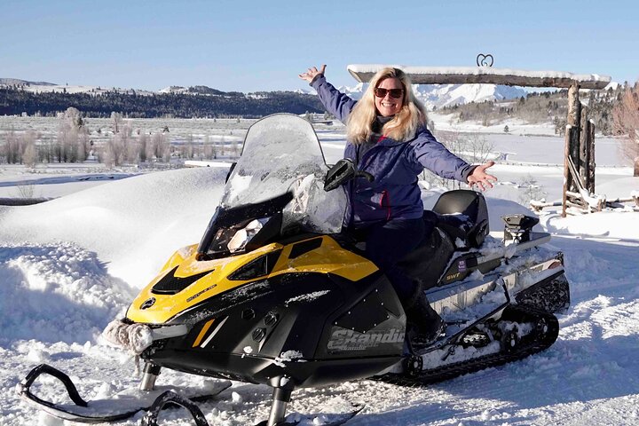 Jackson Hole Dog Sledding Adventure - thumb 3